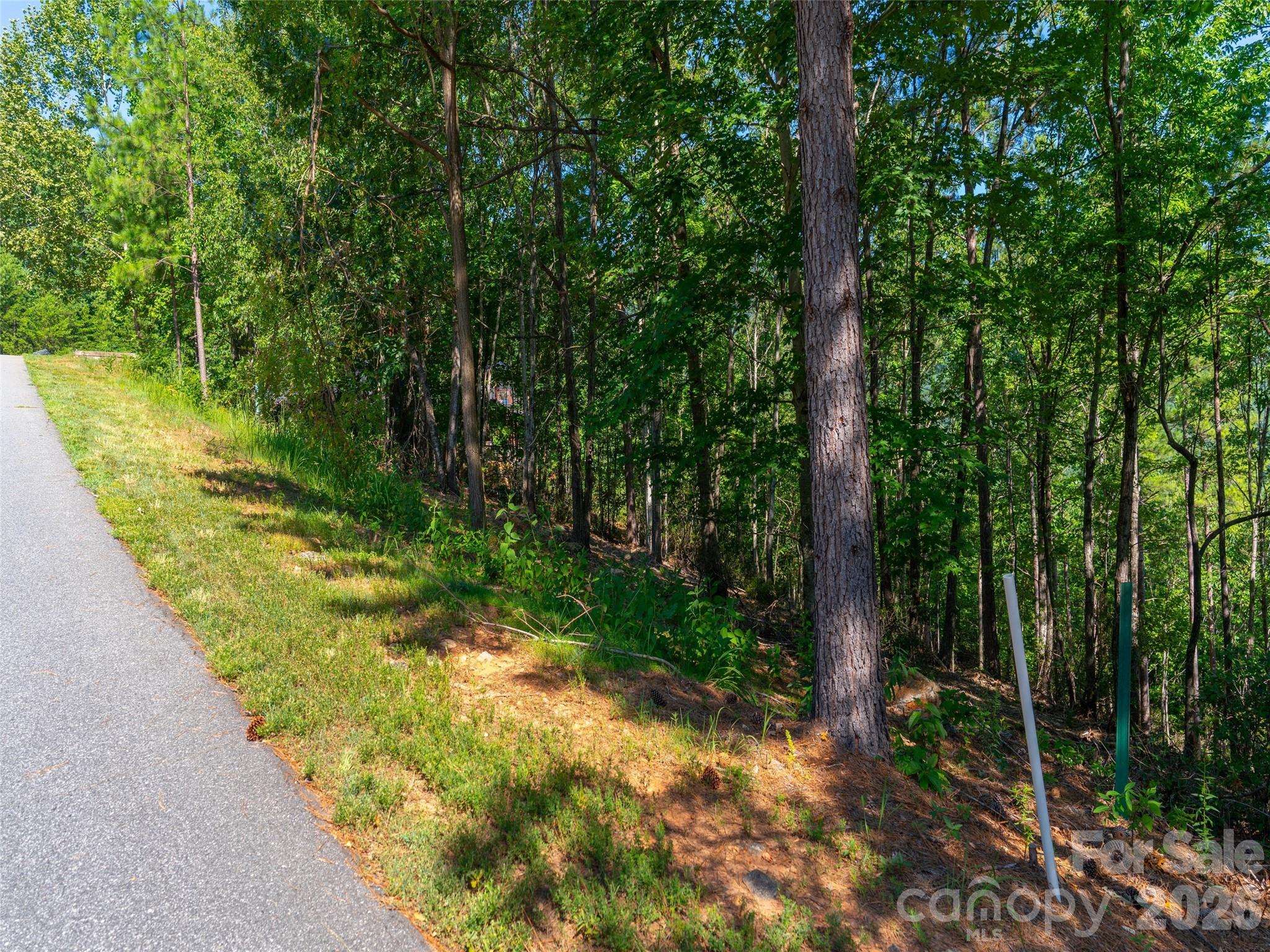 2026 Deep Gap Farm Road E Mill Spring NC 28756