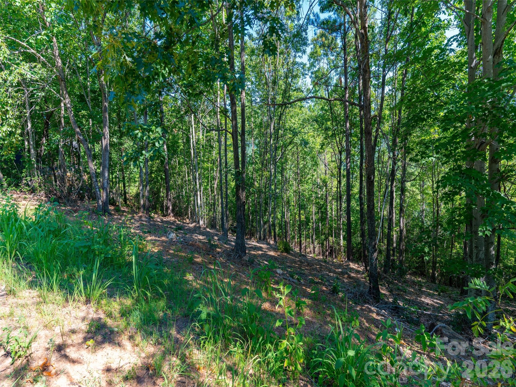 2026 Deep Gap Farm Road E Mill Spring NC 28756