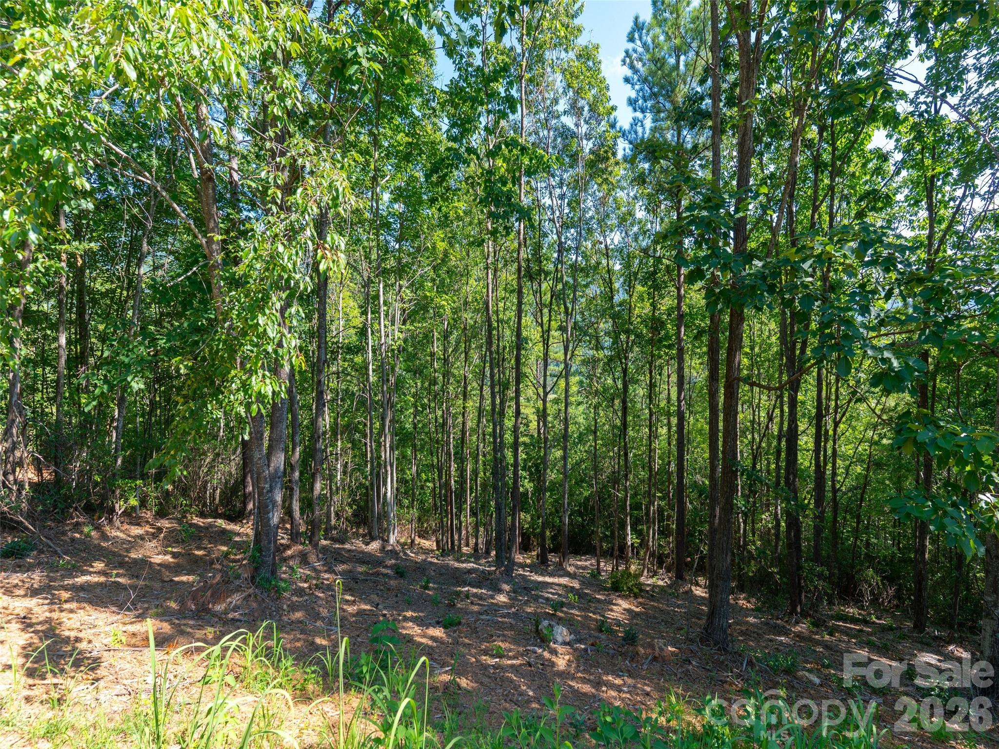2026 Deep Gap Farm Road E Mill Spring NC 28756