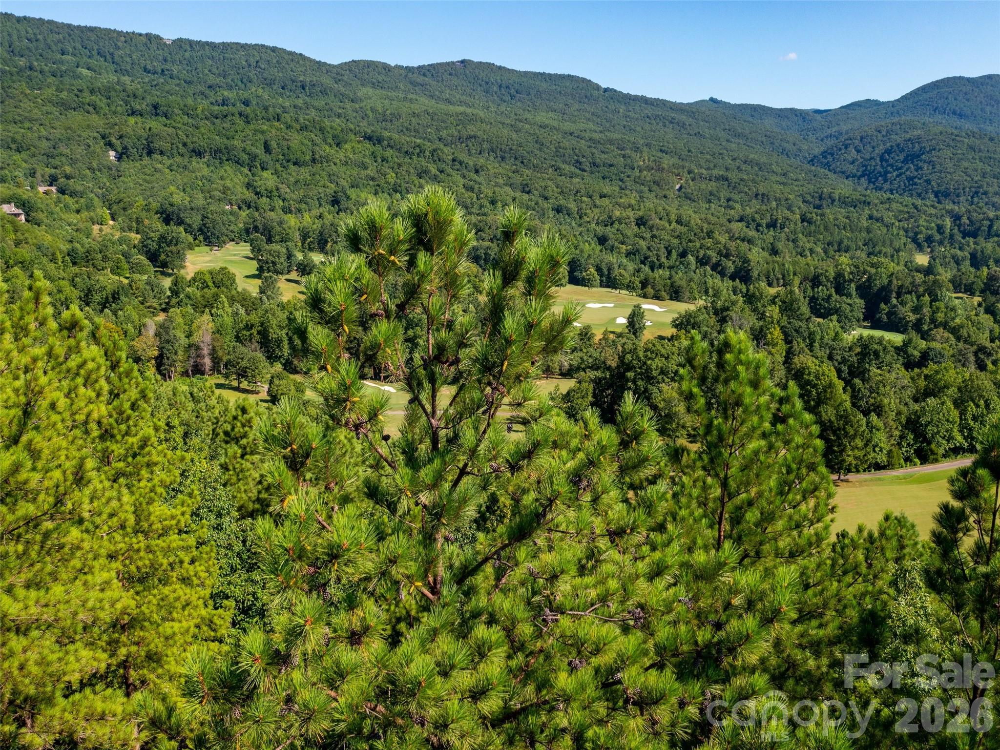 2026 Deep Gap Farm Road E Mill Spring NC 28756