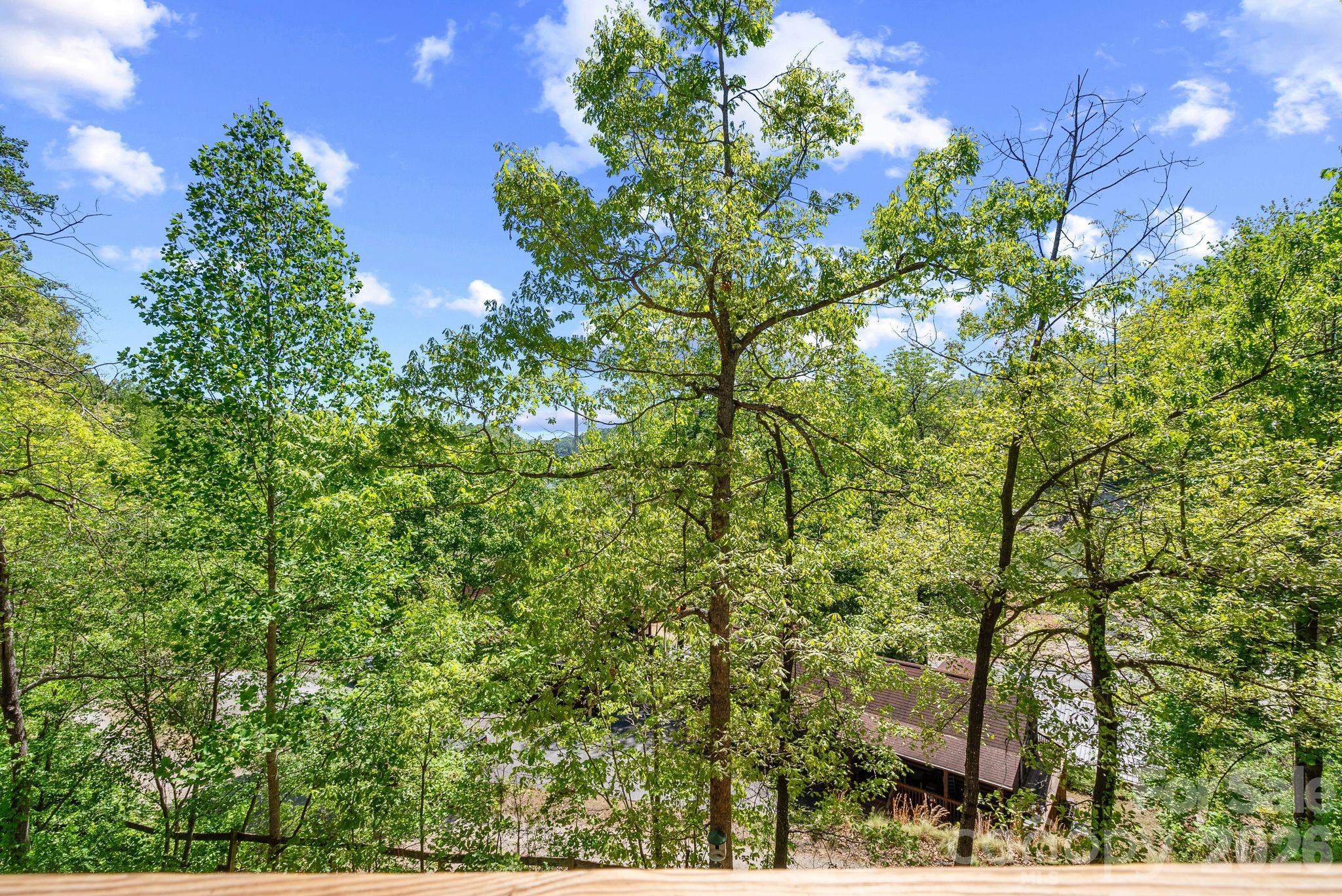 186 Sea Wish Way Lake Lure NC 28746