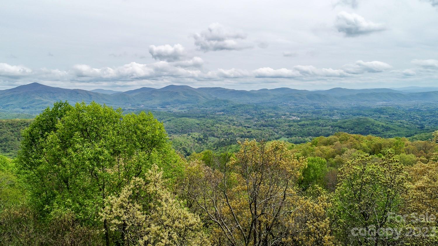 217 Chestnut Forest Road Fairview NC 28730
