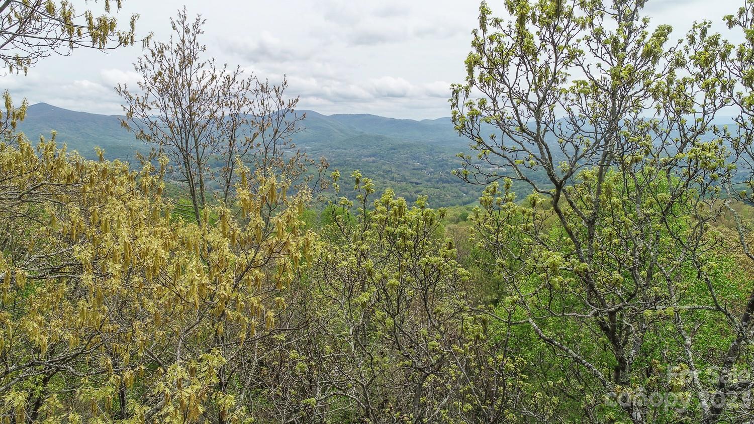 217 Chestnut Forest Road Fairview NC 28730