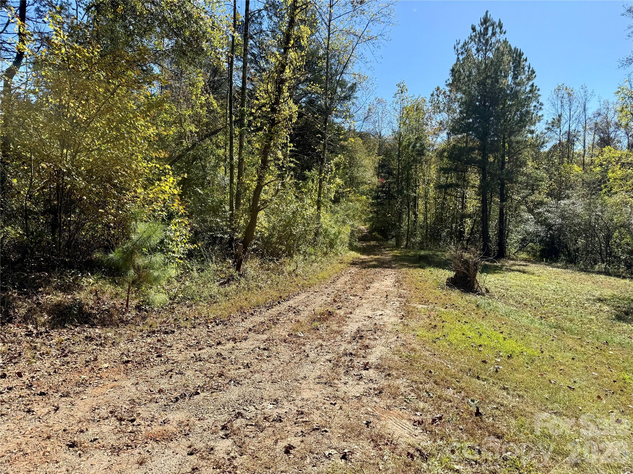 229 Kelsey Lane Rutherfordton NC 28139