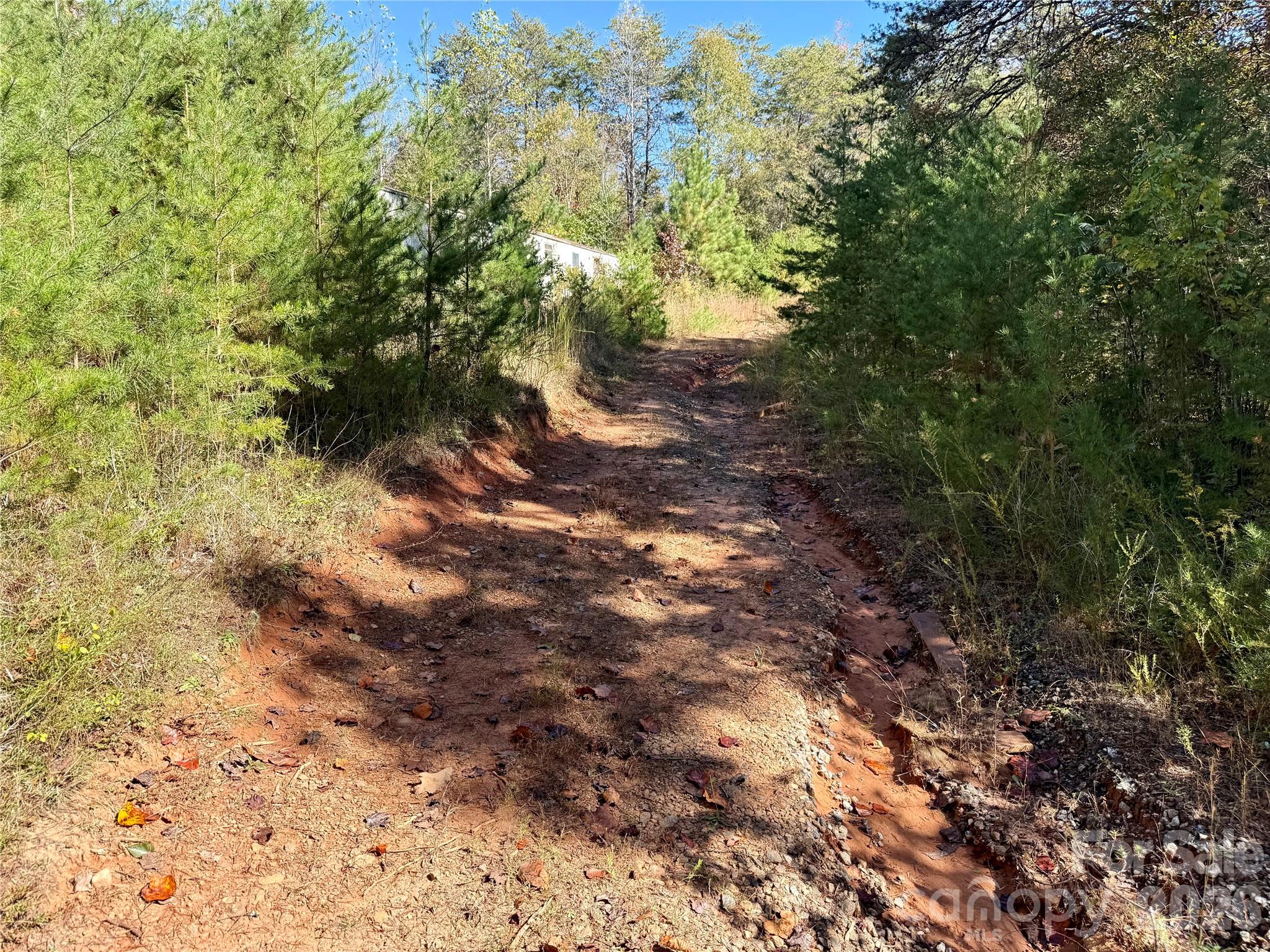 229 Kelsey Lane Rutherfordton NC 28139