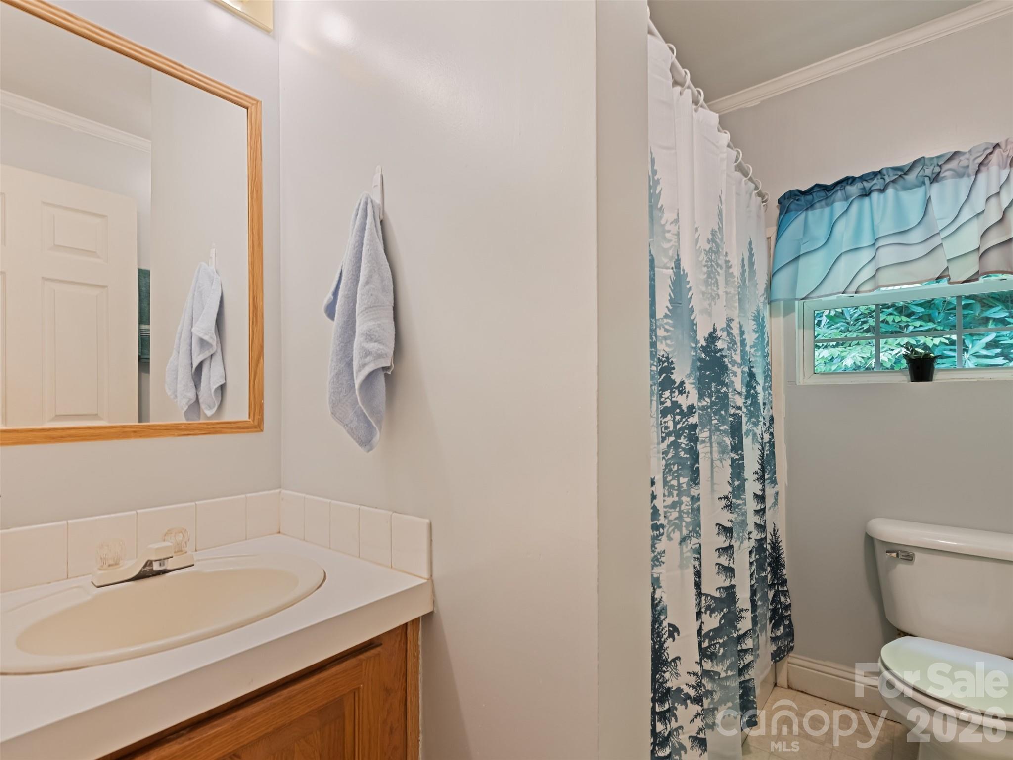 122 Mastiff Hollow Drive Waynesville NC 28785