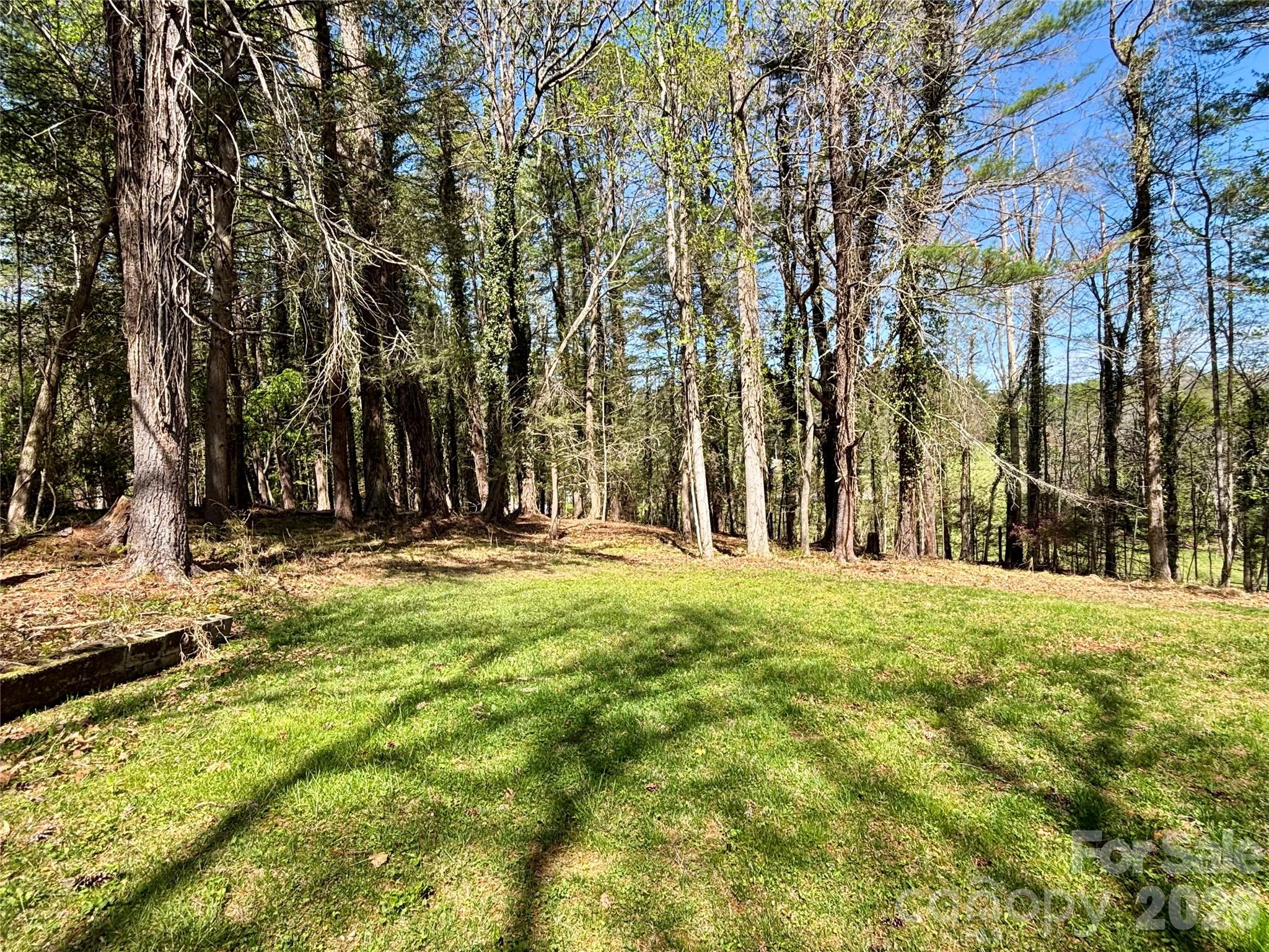 20 White Squirrel Lane Hendersonville NC 28739