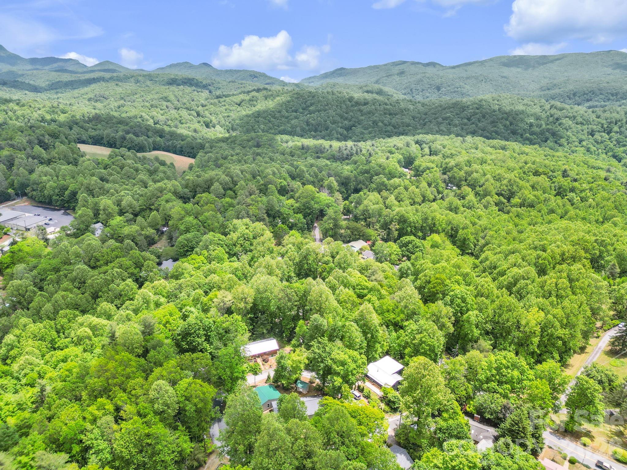189 Friendly Circle Saluda NC 28773