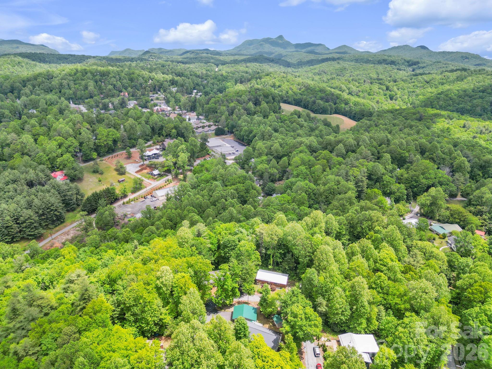 189 Friendly Circle Saluda NC 28773