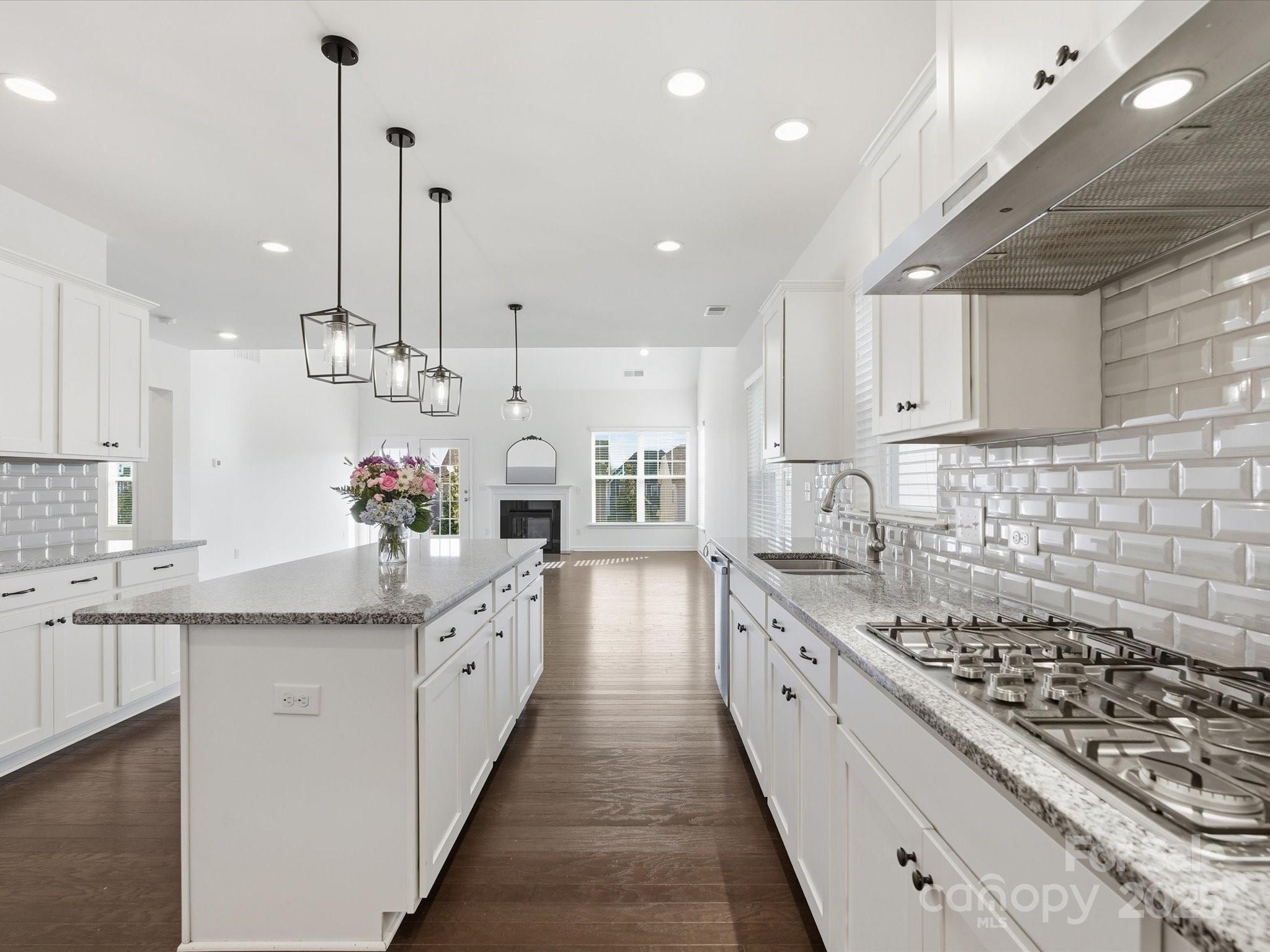 1005 Argentium Way Waxhaw NC 28173