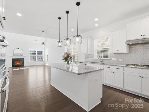 1005 Argentium Way Waxhaw NC 28173
