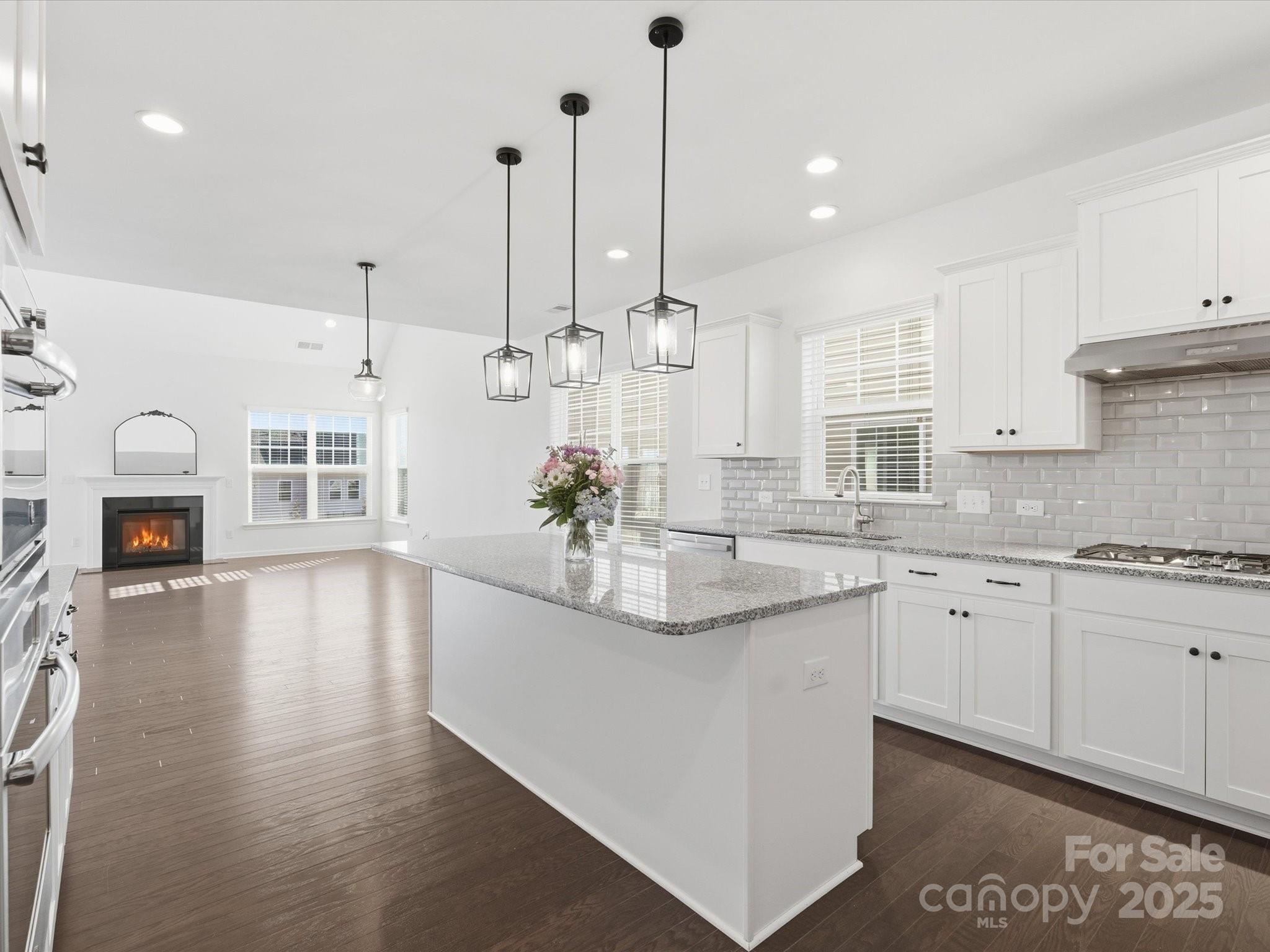 1005 Argentium Way Waxhaw NC 28173