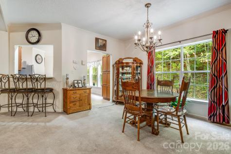 3287 Cabin Creek Road Zirconia NC 28790