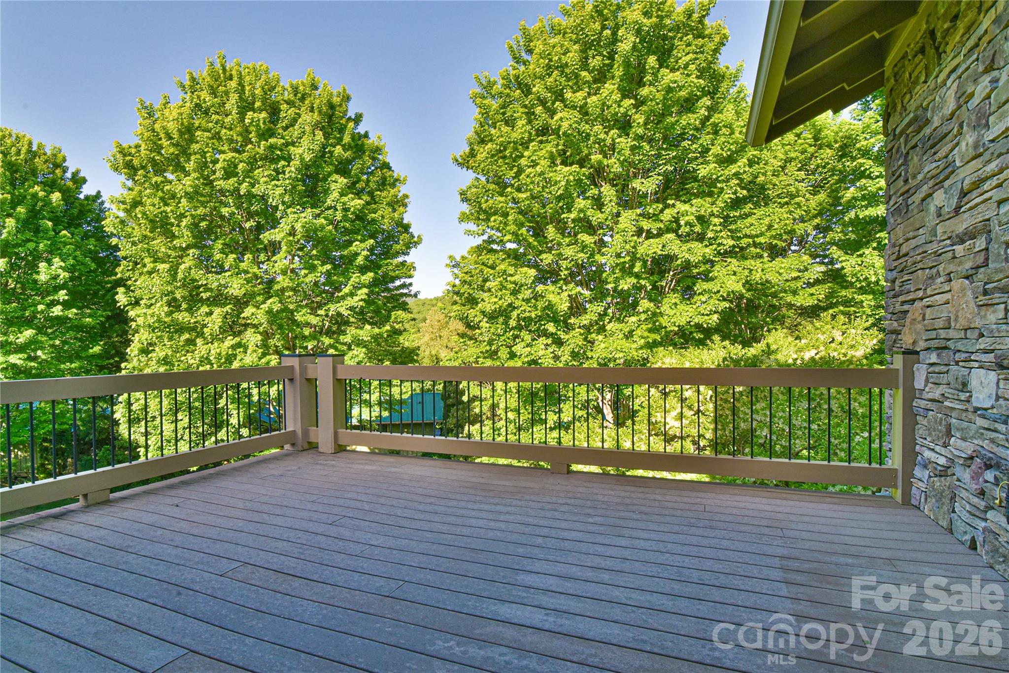 52 Mandolin Drive Black Mountain NC 28711