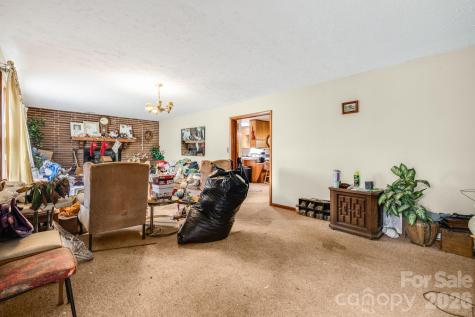 48 Ellen Avenue Canton NC 28716