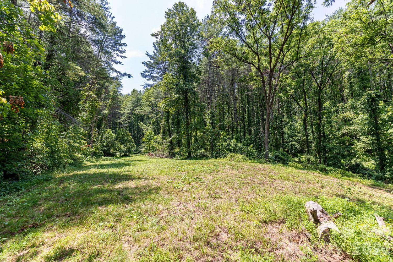 160 Mclean Road Weaverville NC 28787
