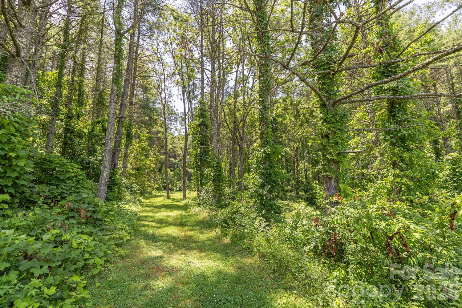 160 Mclean Road Weaverville NC 28787