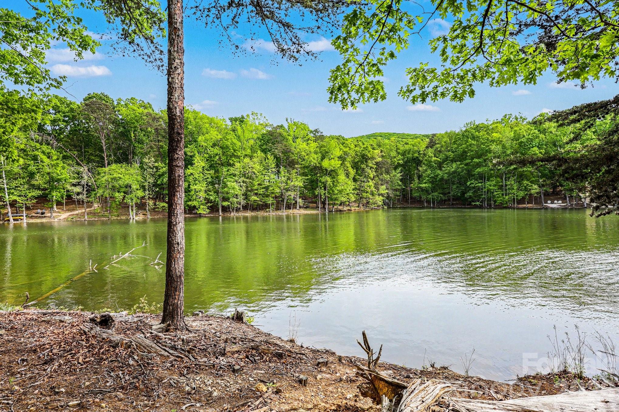 1629 Healing Springs Drive Denton NC 27239