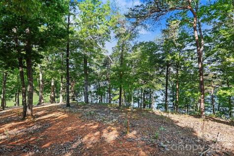 1629 Healing Springs Drive Denton NC 27239