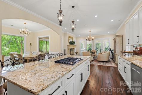 1629 Healing Springs Drive Denton NC 27239