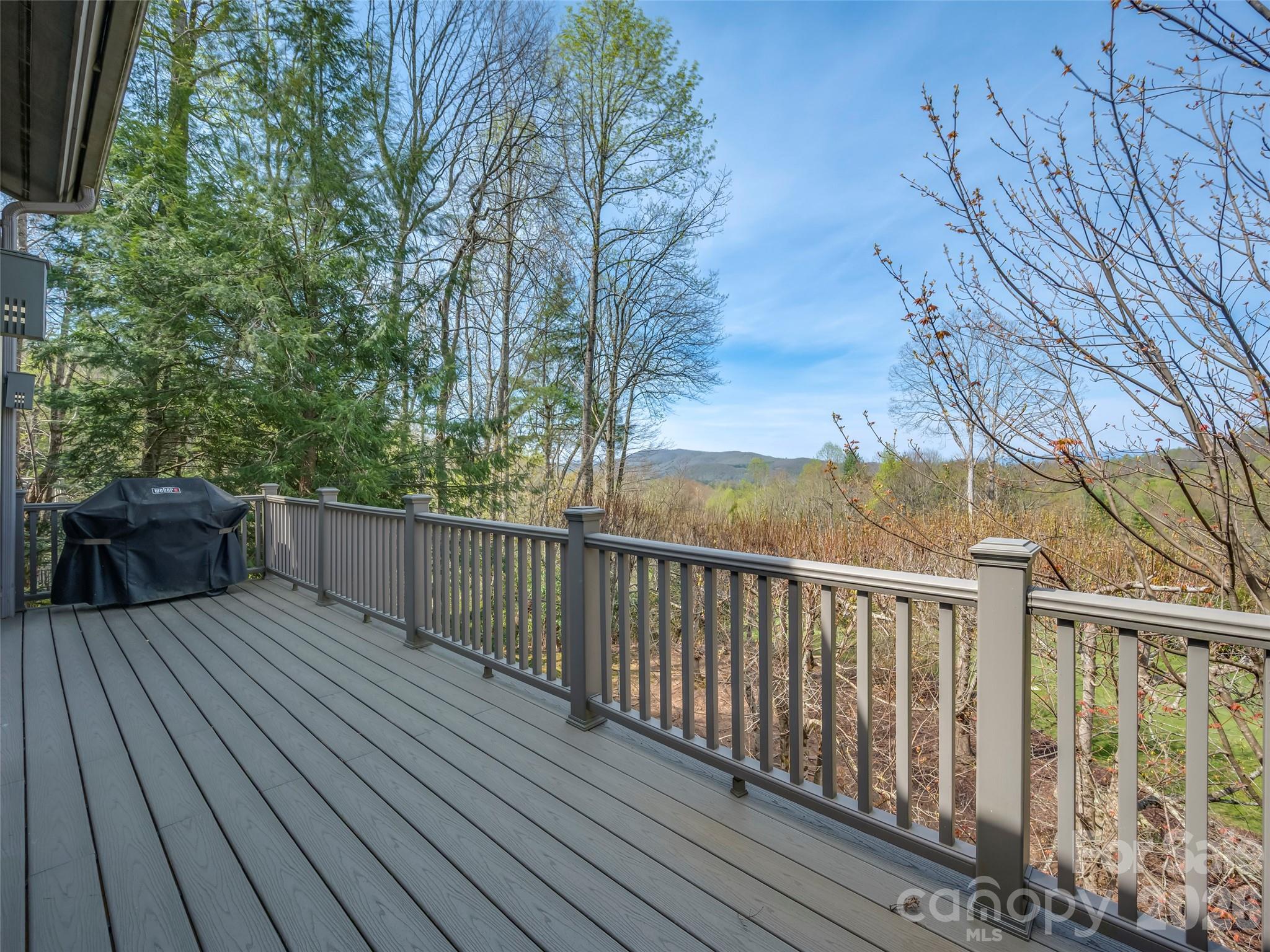 4 Wild Ivy Run Hendersonville NC 28739