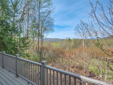 4 Wild Ivy Run Hendersonville NC 28739