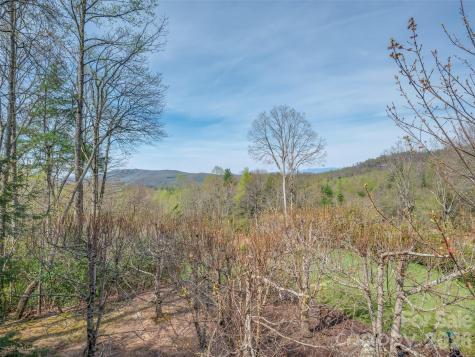 4 Wild Ivy Run Hendersonville NC 28739