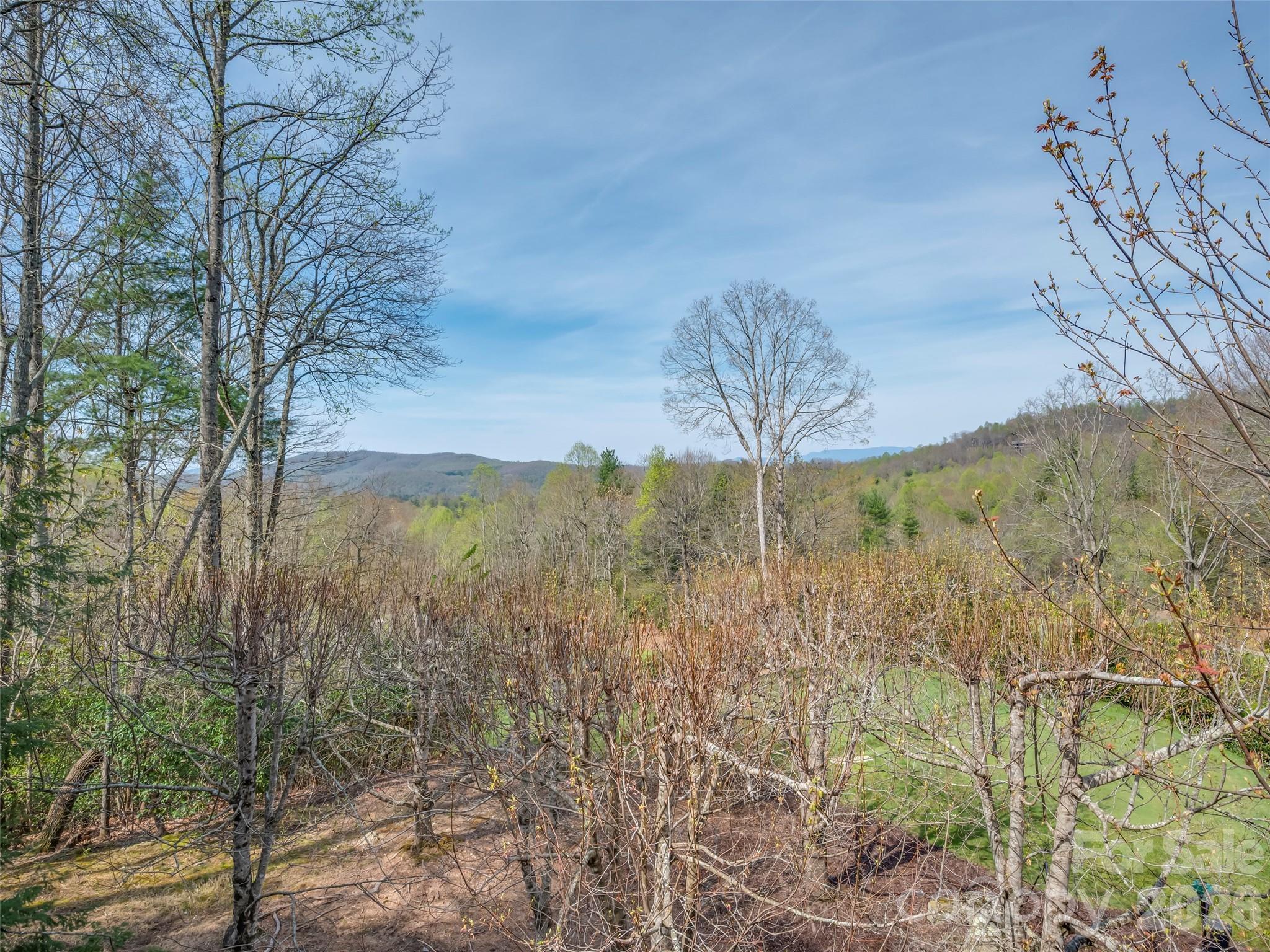4 Wild Ivy Run Hendersonville NC 28739
