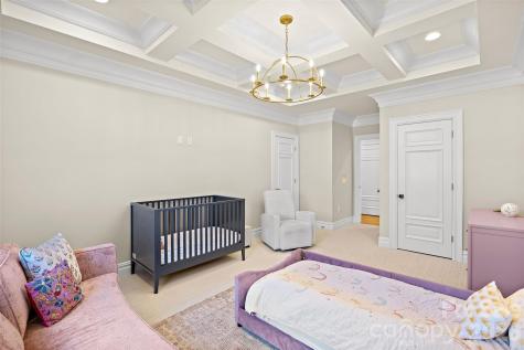 910 Deodar Cedar Drive Weddington NC 28104