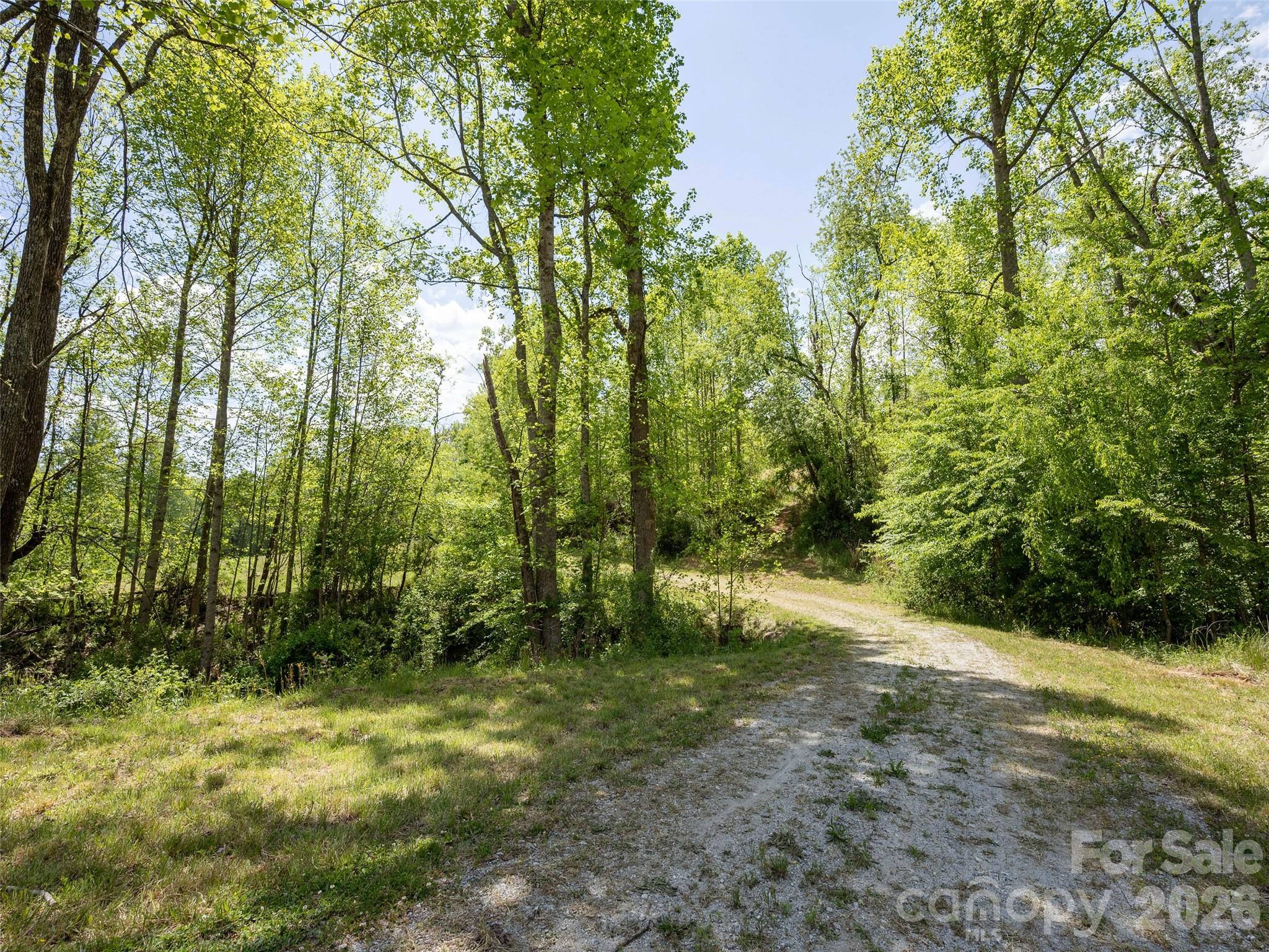 154 High Pasture Trail Mills River NC 28759