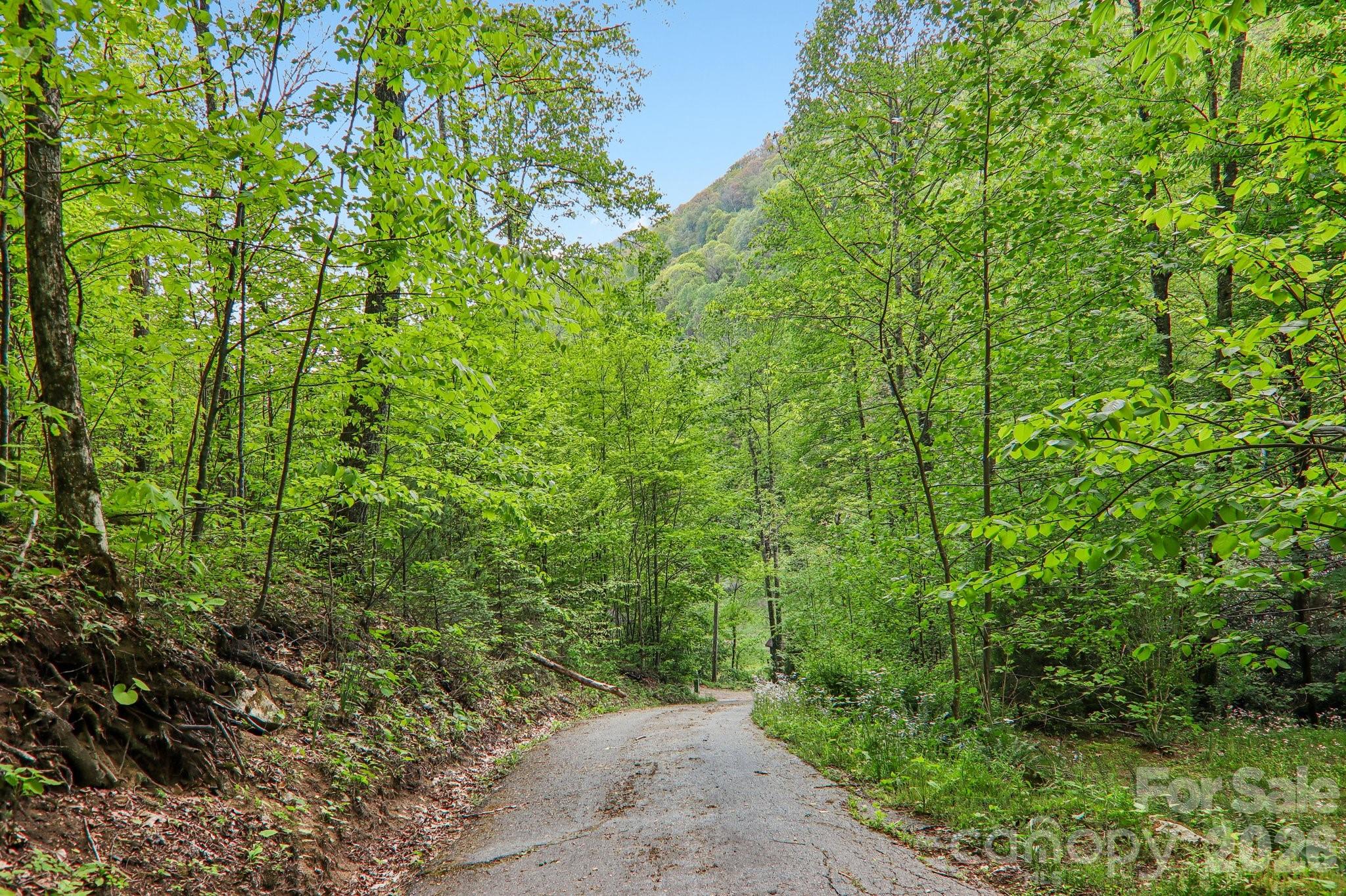 47 Lo Cove Maggie Valley NC 28751