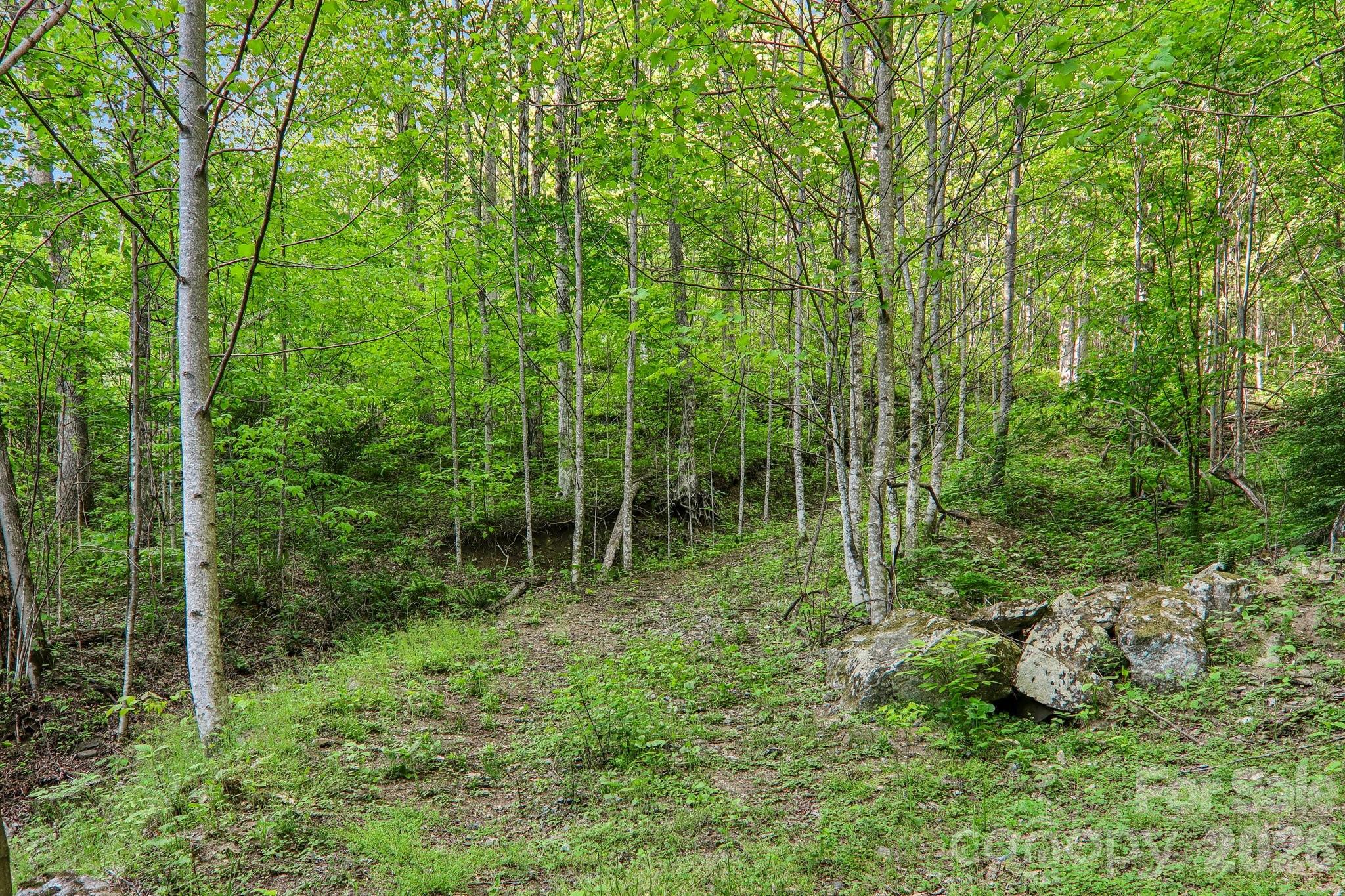 47 Lo Cove Maggie Valley NC 28751