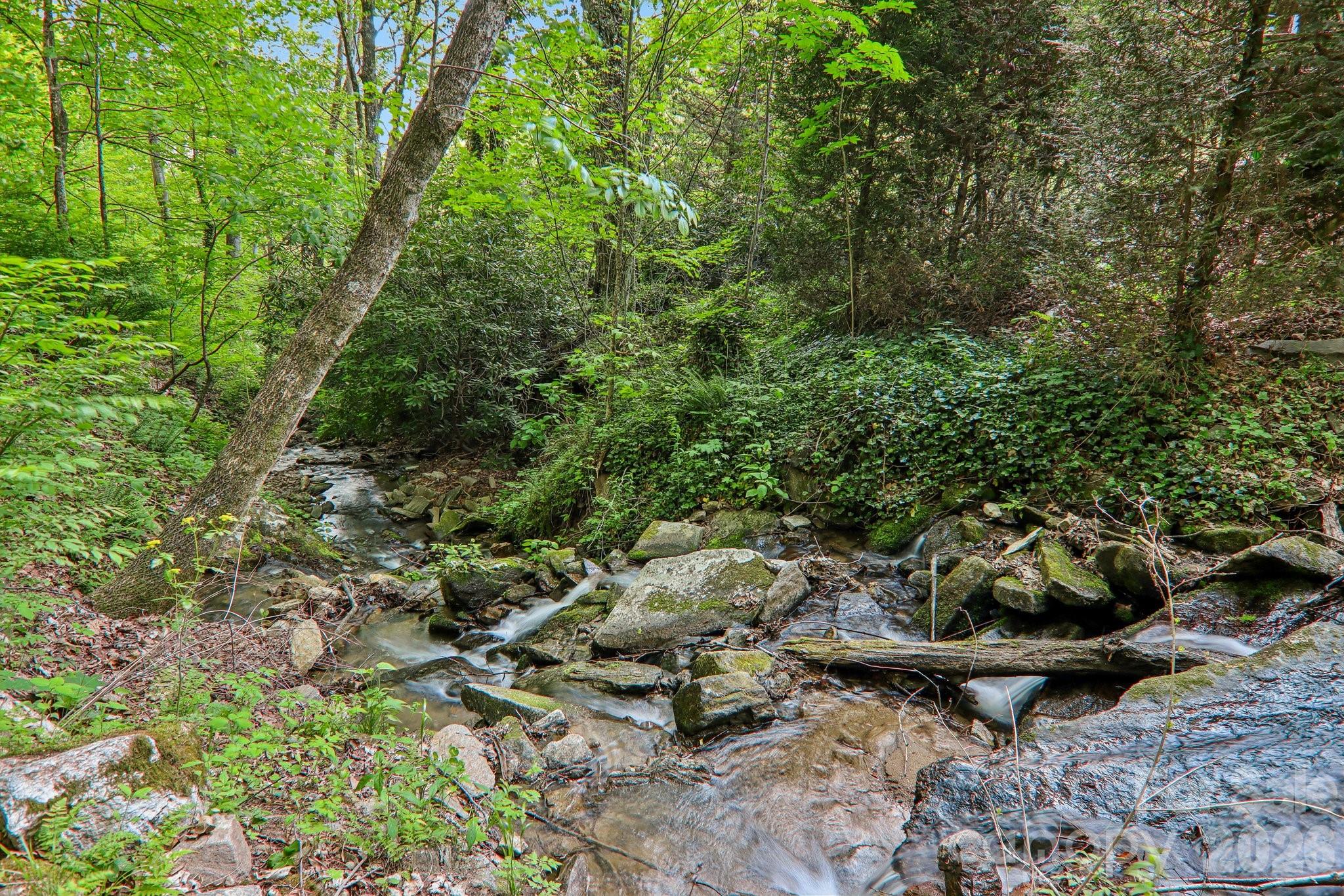 47 Lo Cove Maggie Valley NC 28751