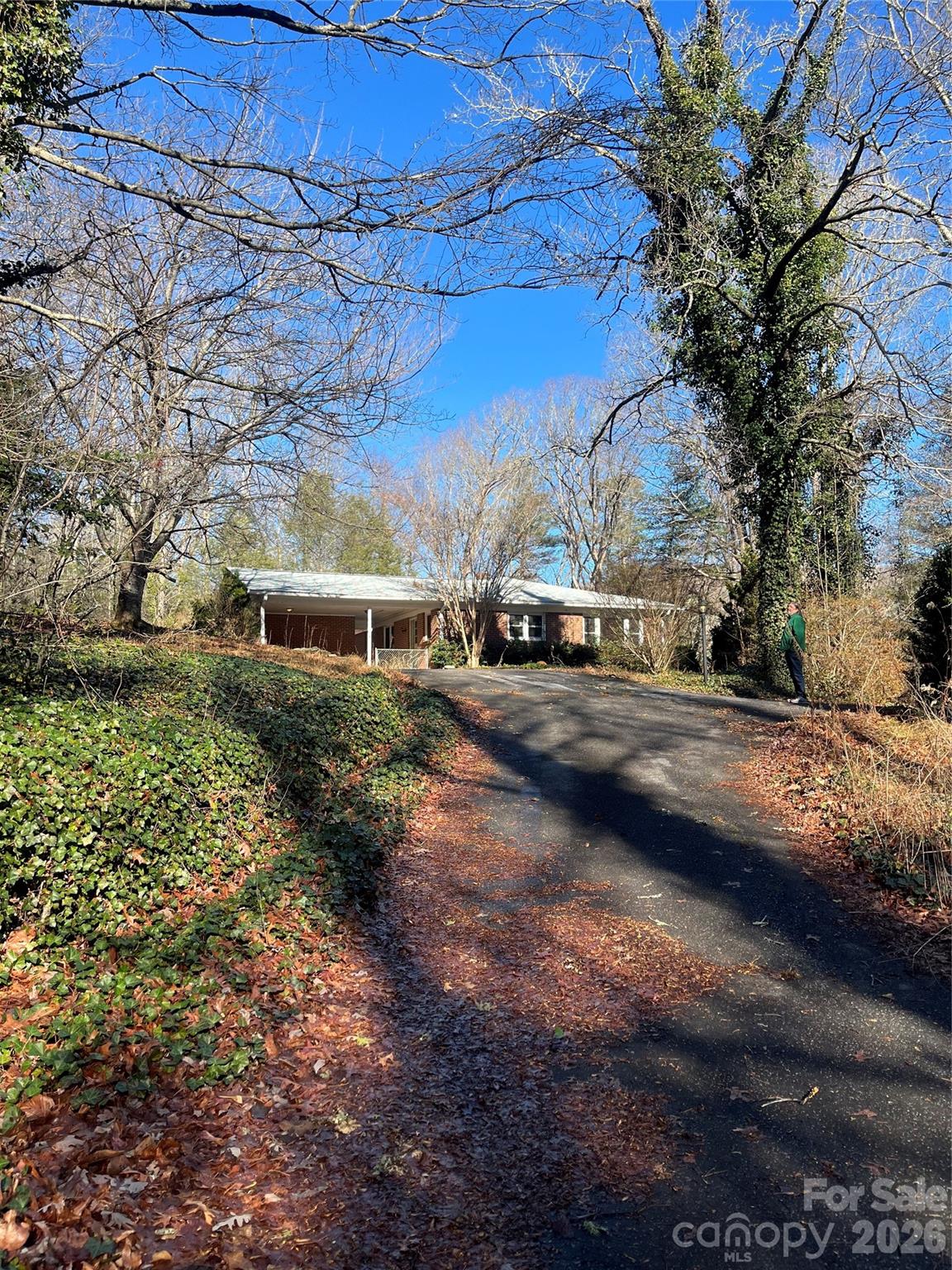65 Freeman Creek Road Zirconia NC 28790