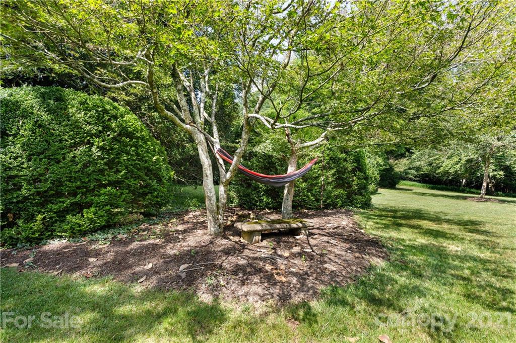 5 Westwood Road Asheville NC 28803