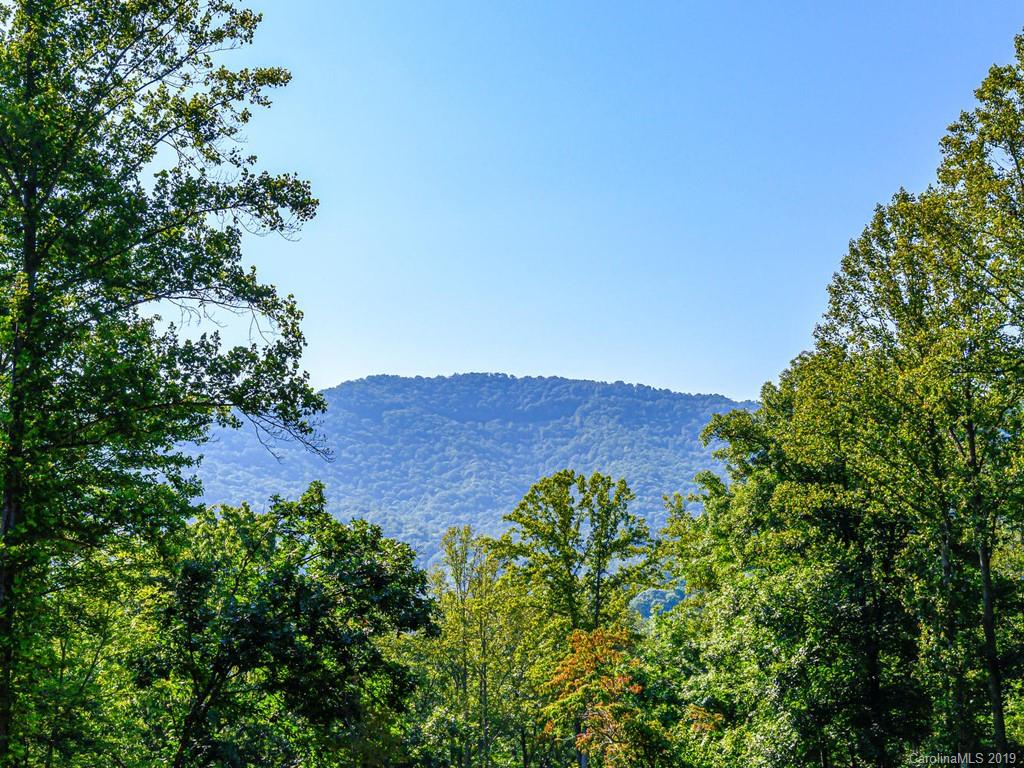 136 Chestnut Creek Road Candler NC 28715