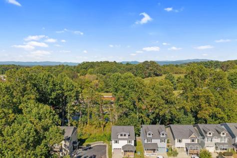 33 English Ivy Road Asheville NC 28806