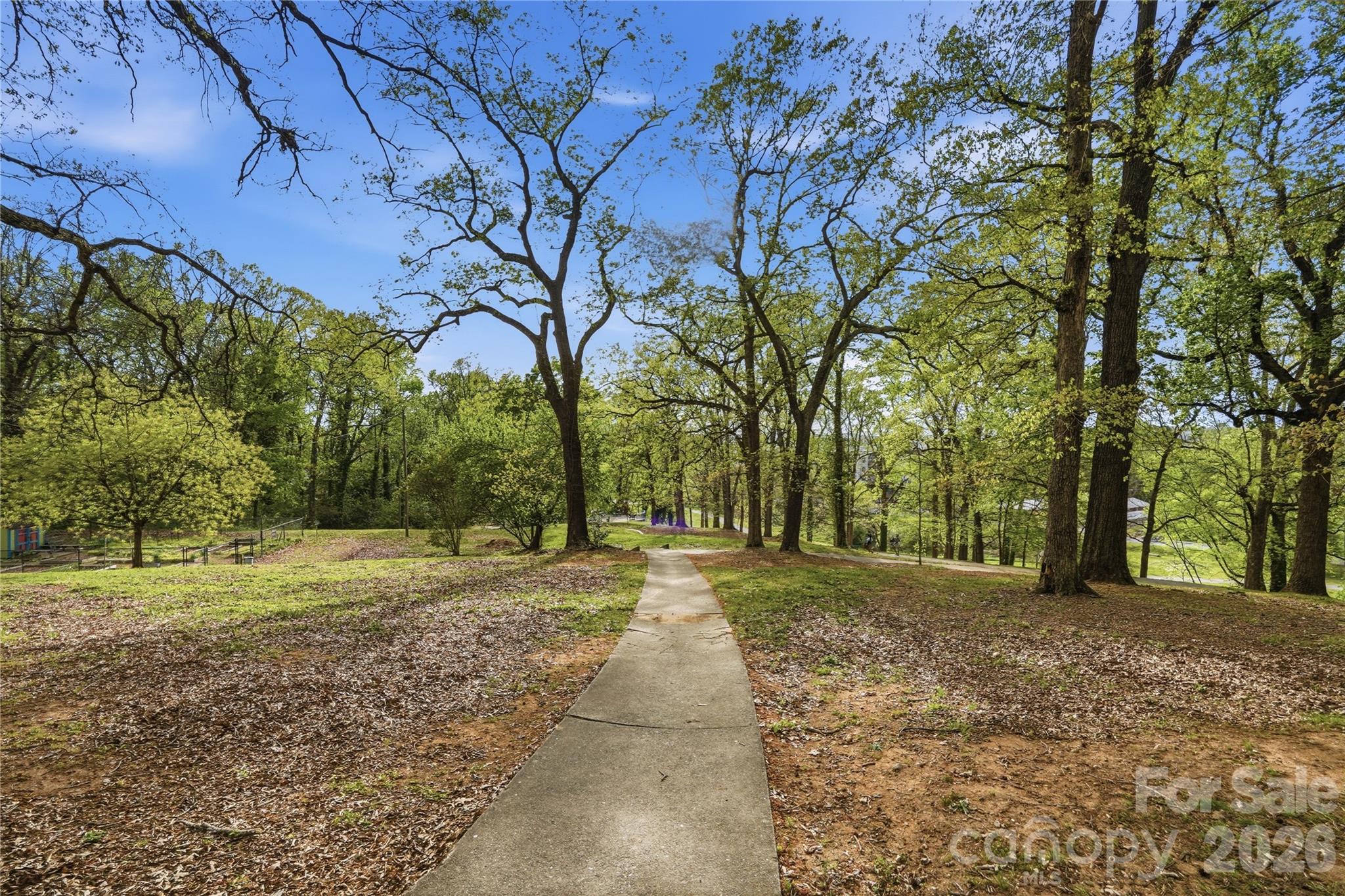 1815 Seigle Avenue Charlotte NC 28205