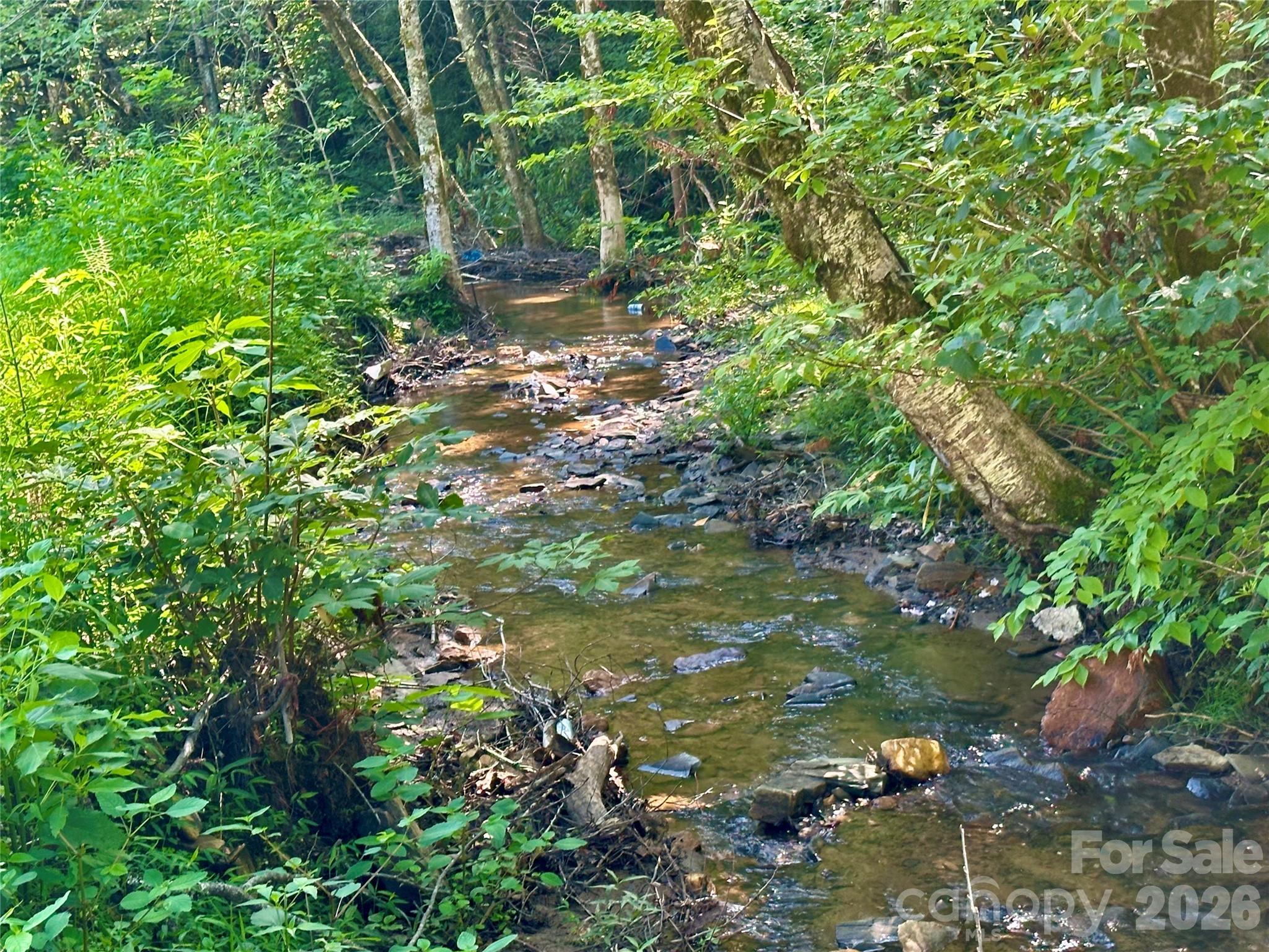 492 Chestnut Mountain Road Spruce Pine NC 28777