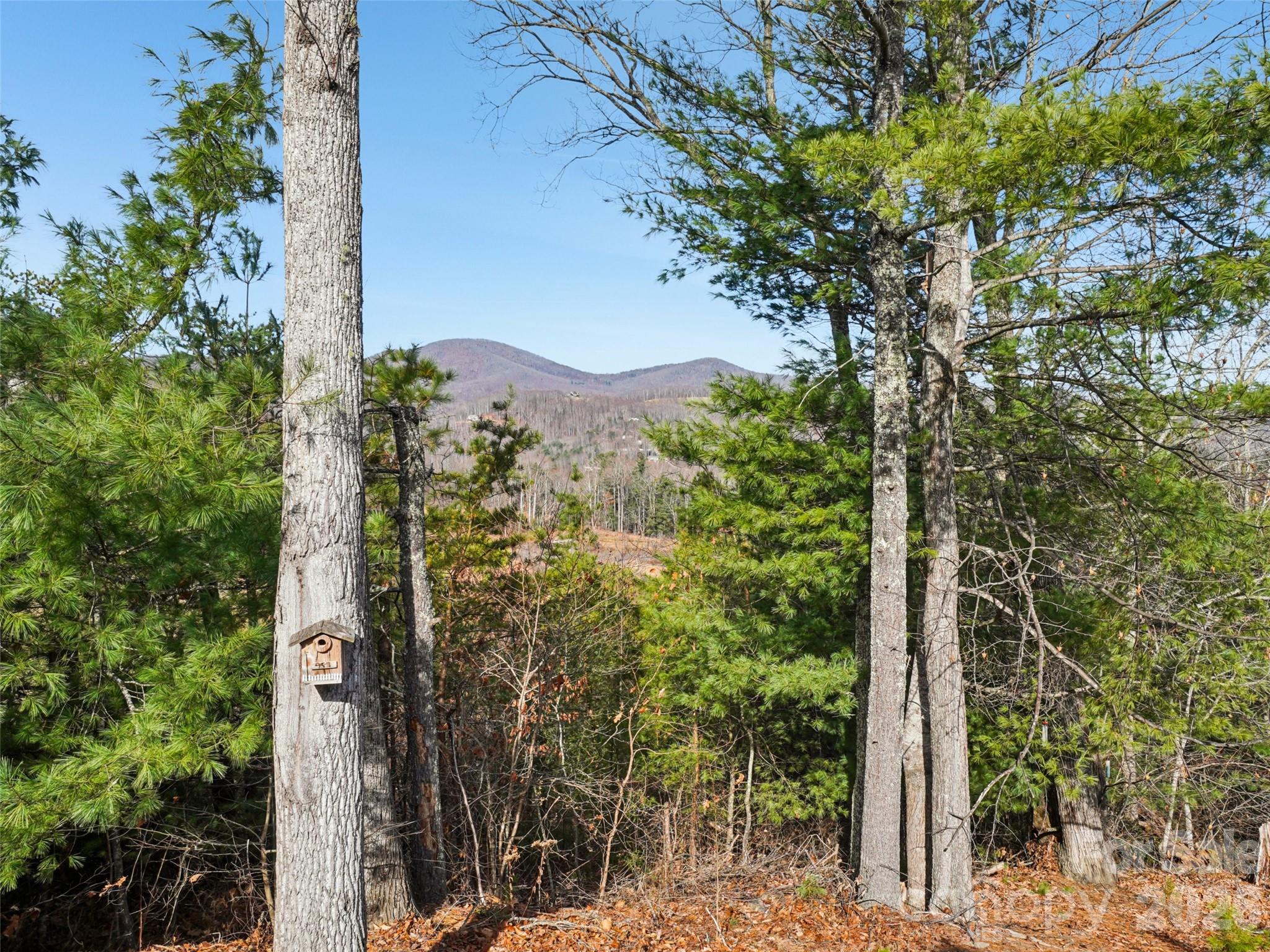 959 Silverglen Way Hendersonville NC 28792