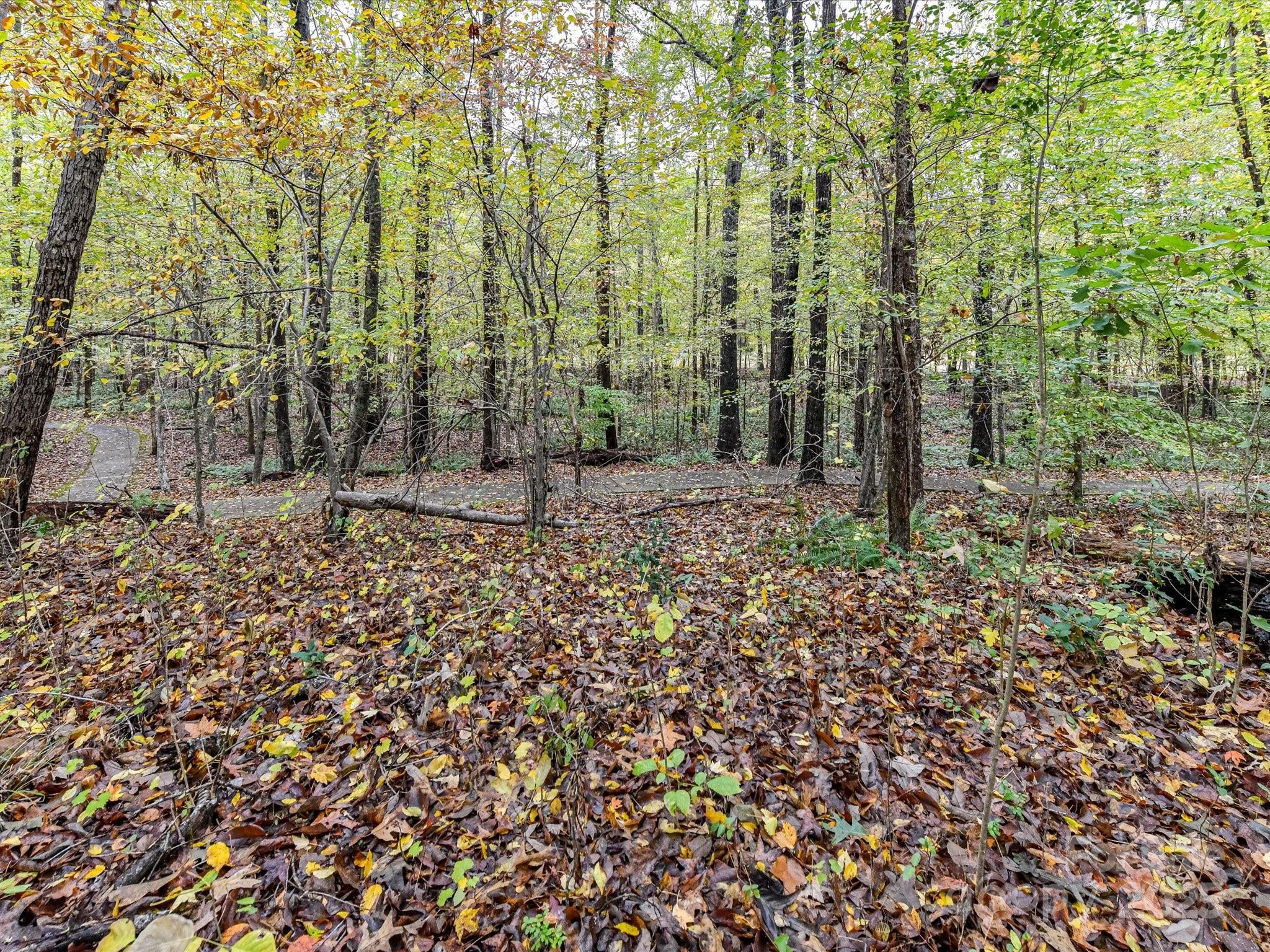 8004 Penman Springs Drive Waxhaw NC 28173