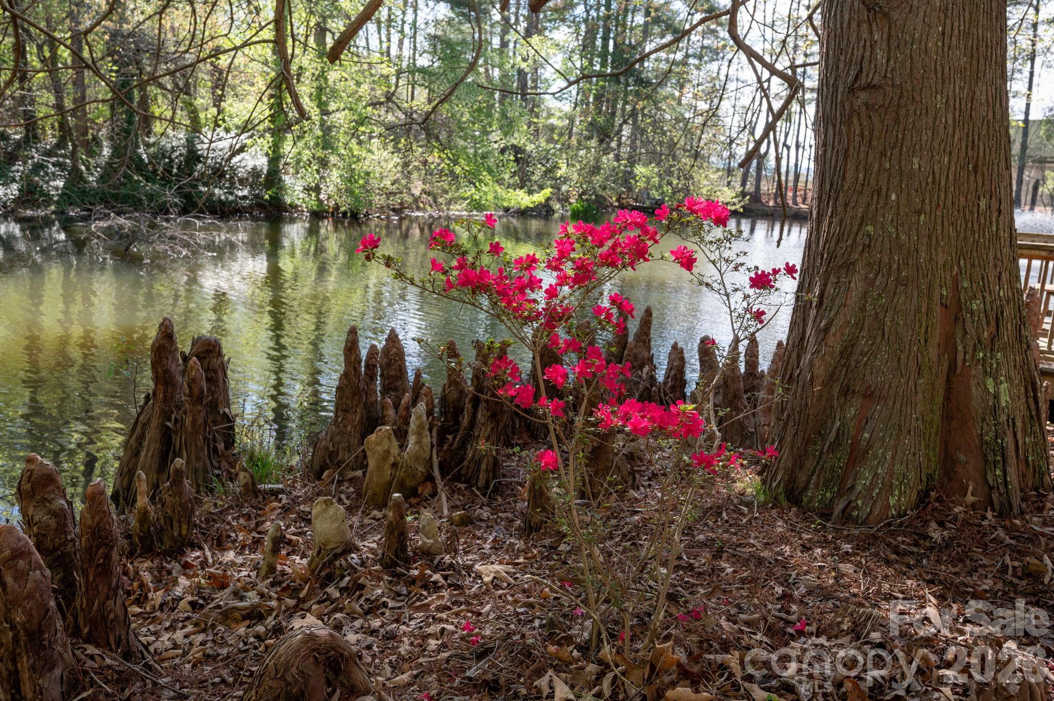 111 Hidden Pond Lane Asheville NC 28804