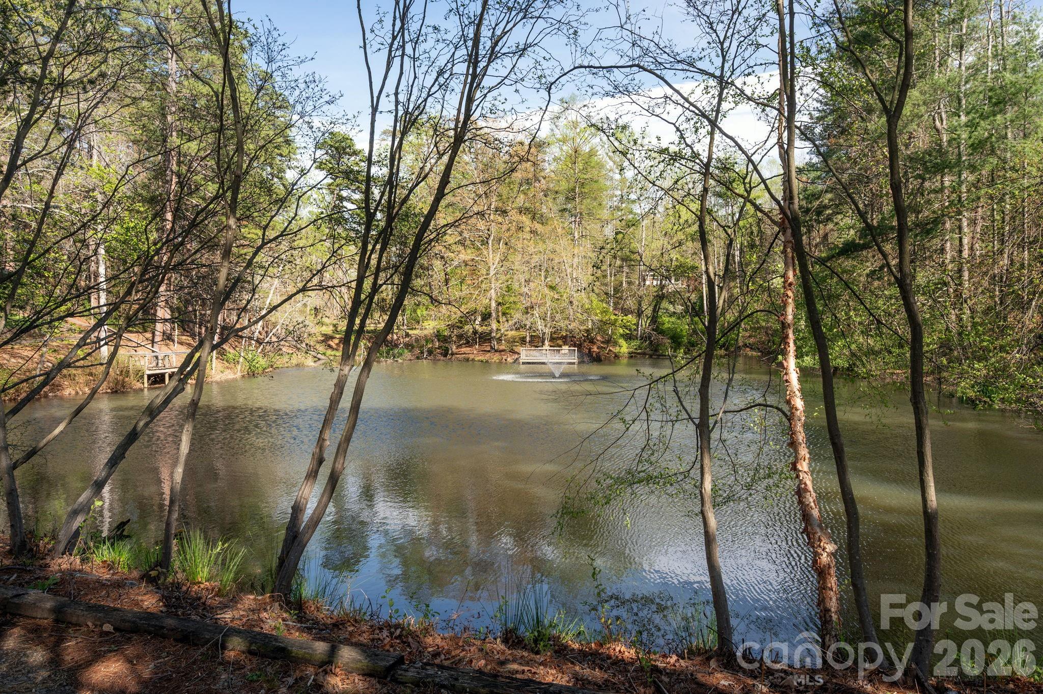 111 Hidden Pond Lane Asheville NC 28804