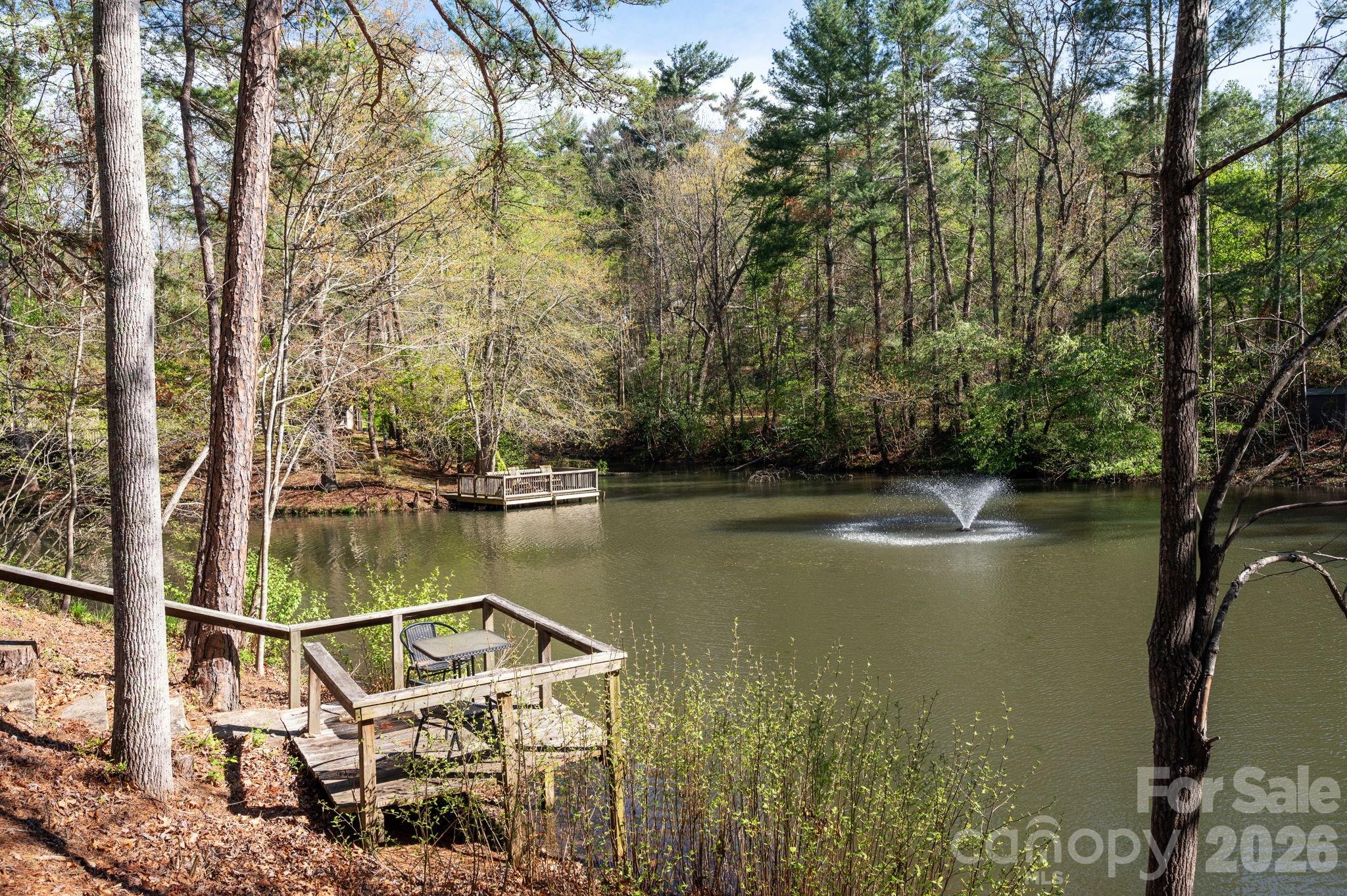 111 Hidden Pond Lane Asheville NC 28804