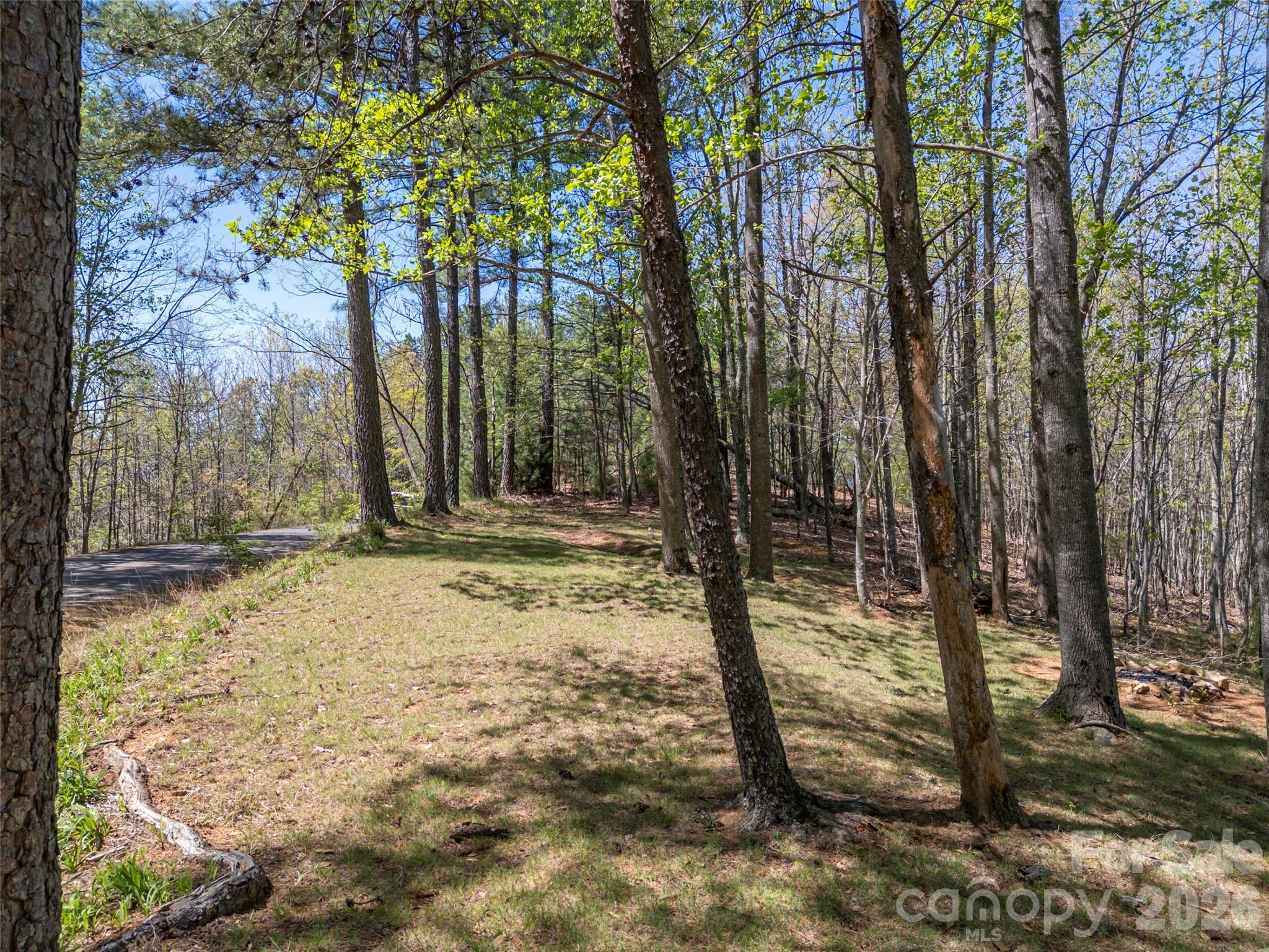 116 Sagamore Trail Bostic NC 28018