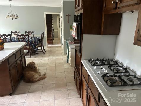 303 Fallingbrook Drive Belmont NC 28012