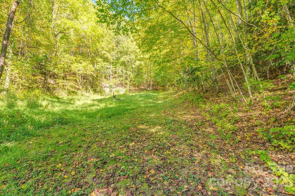 107 Welch Road Candler NC 28715