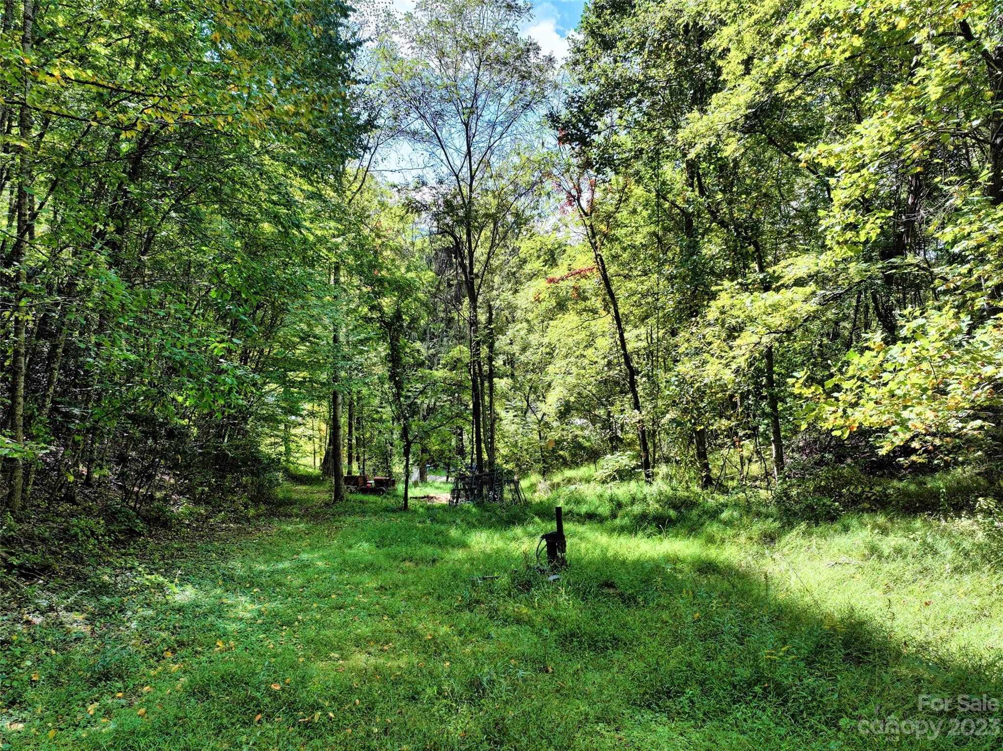 107 Welch Road Candler NC 28715