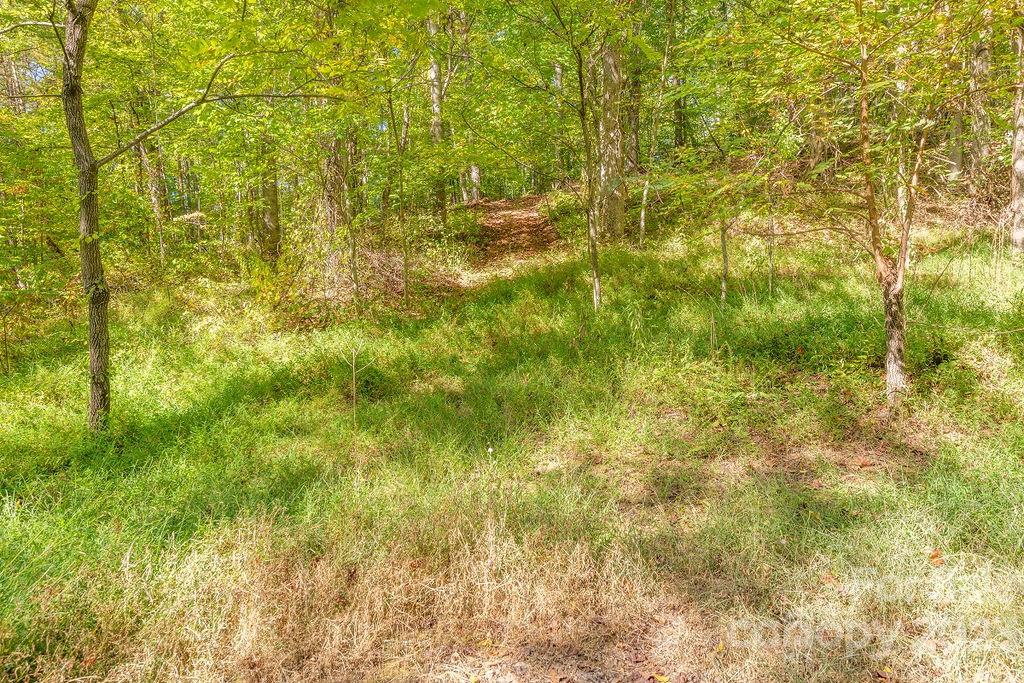 107 Welch Road Candler NC 28715