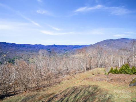 20 Claw Court Bakersville NC 28705